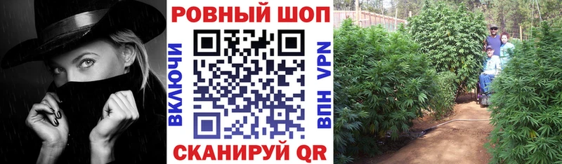 Сколько стоит Пойковский ГАШИШ  МДМА  КОКАИН  Alpha-PVP  АМФ  Меф  Конопля 