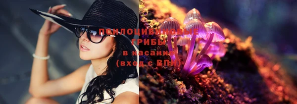 прущие крисы Пересвет