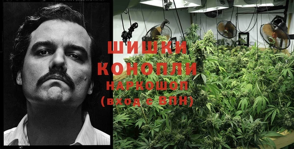 стафф Покачи