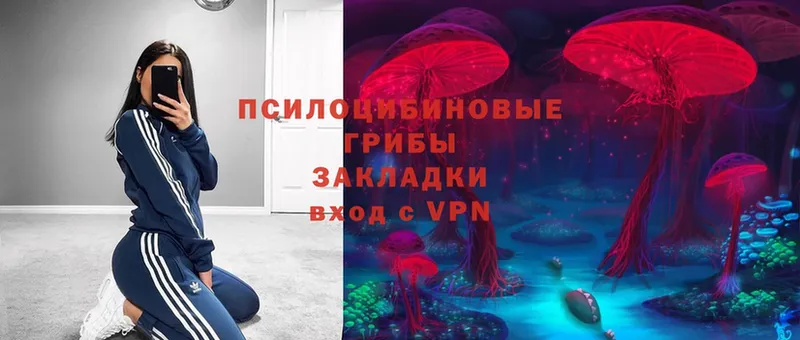 что такое наркотик  Пойковский  Галлюциногенные грибы Psilocybine cubensis 