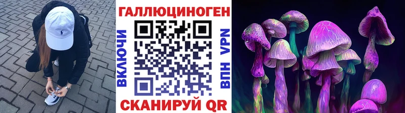 ОМГ ОМГ   Пойковский  Галлюциногенные грибы Psilocybine cubensis 